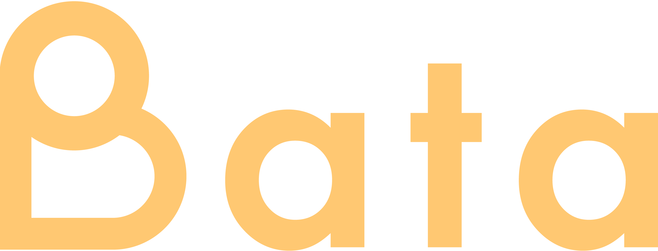 Bata Energy Solutions Klantportaal